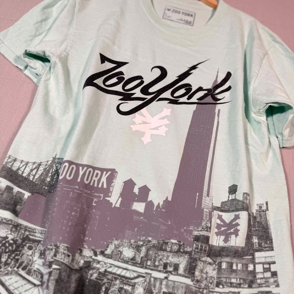 Zoo York Cityscape Graphic Tee Mint Green Mens Large Streetwear Skate NYC Shirt